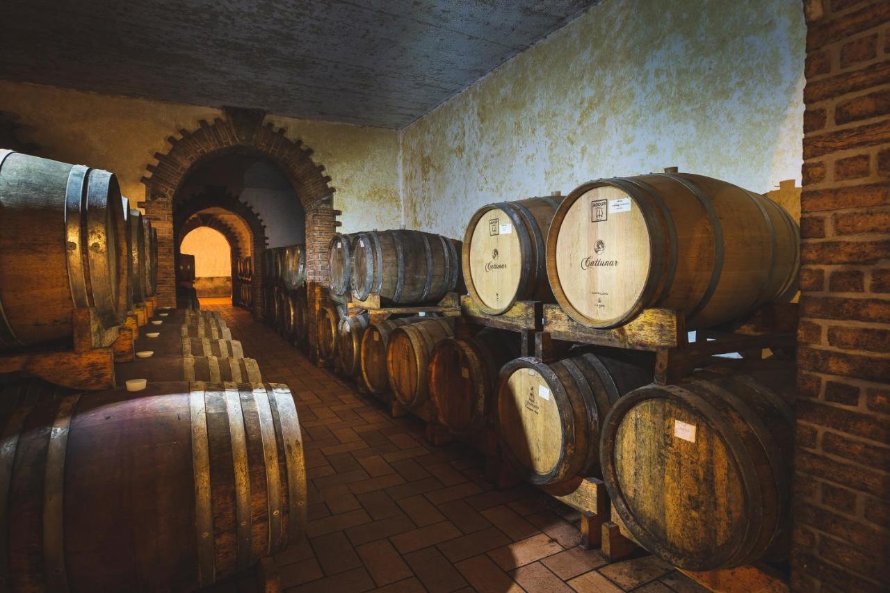 Wine Residence Cattunar Brtonigla Exterior photo