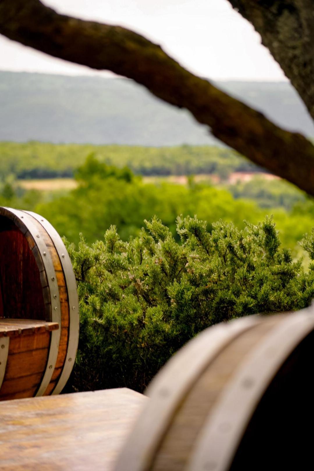 Wine Residence Cattunar Brtonigla Exterior photo