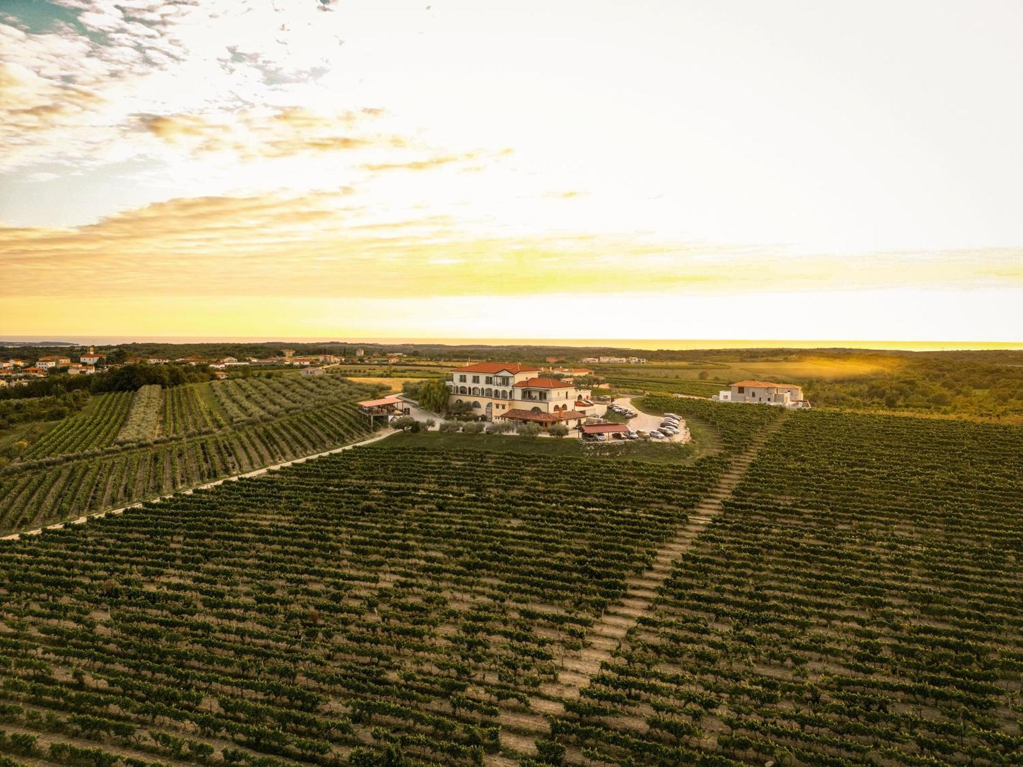 Wine Residence Cattunar Brtonigla Exterior photo